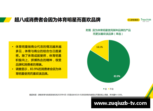 如何通过体育明星打造品牌形象：全面宣传营销策略指南