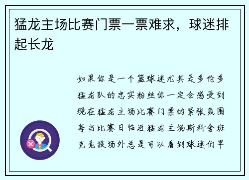猛龙主场比赛门票一票难求，球迷排起长龙