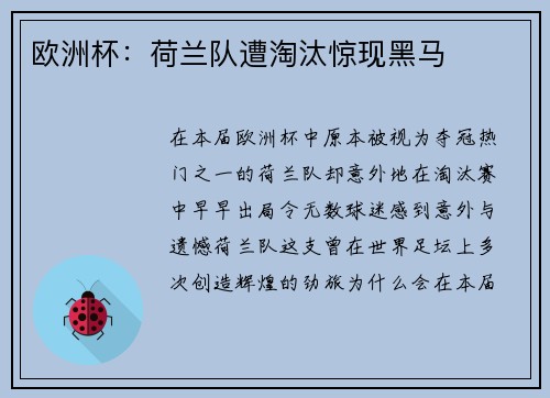 欧洲杯：荷兰队遭淘汰惊现黑马